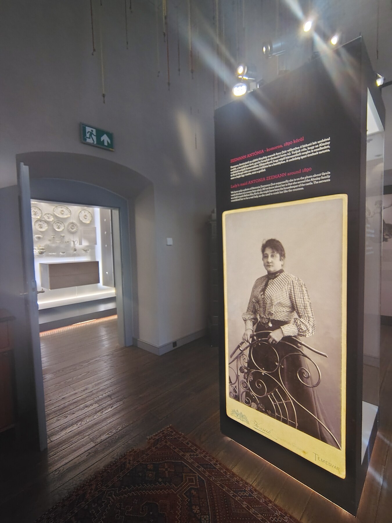 Камериерката Антония Земан, ок. 1890 г.
