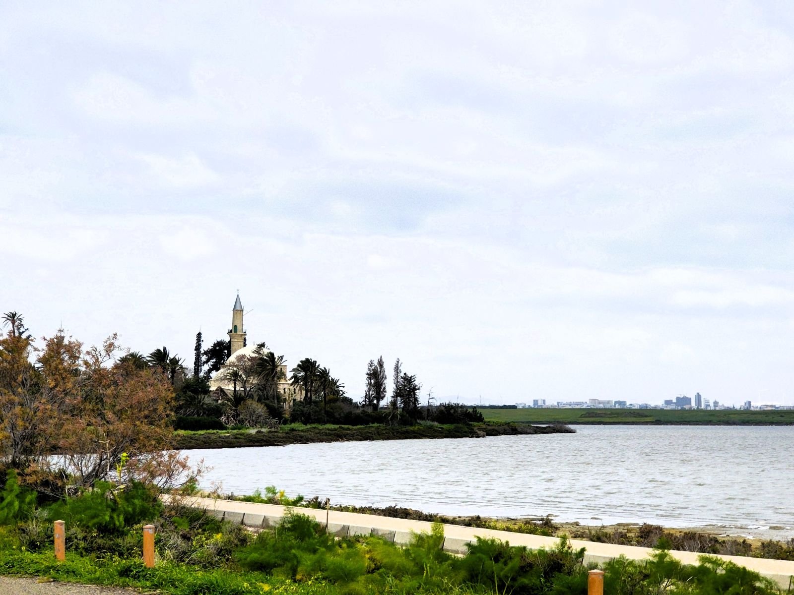Соленото езеро на Ларнака и джамията Хала Султан Текке сред палми