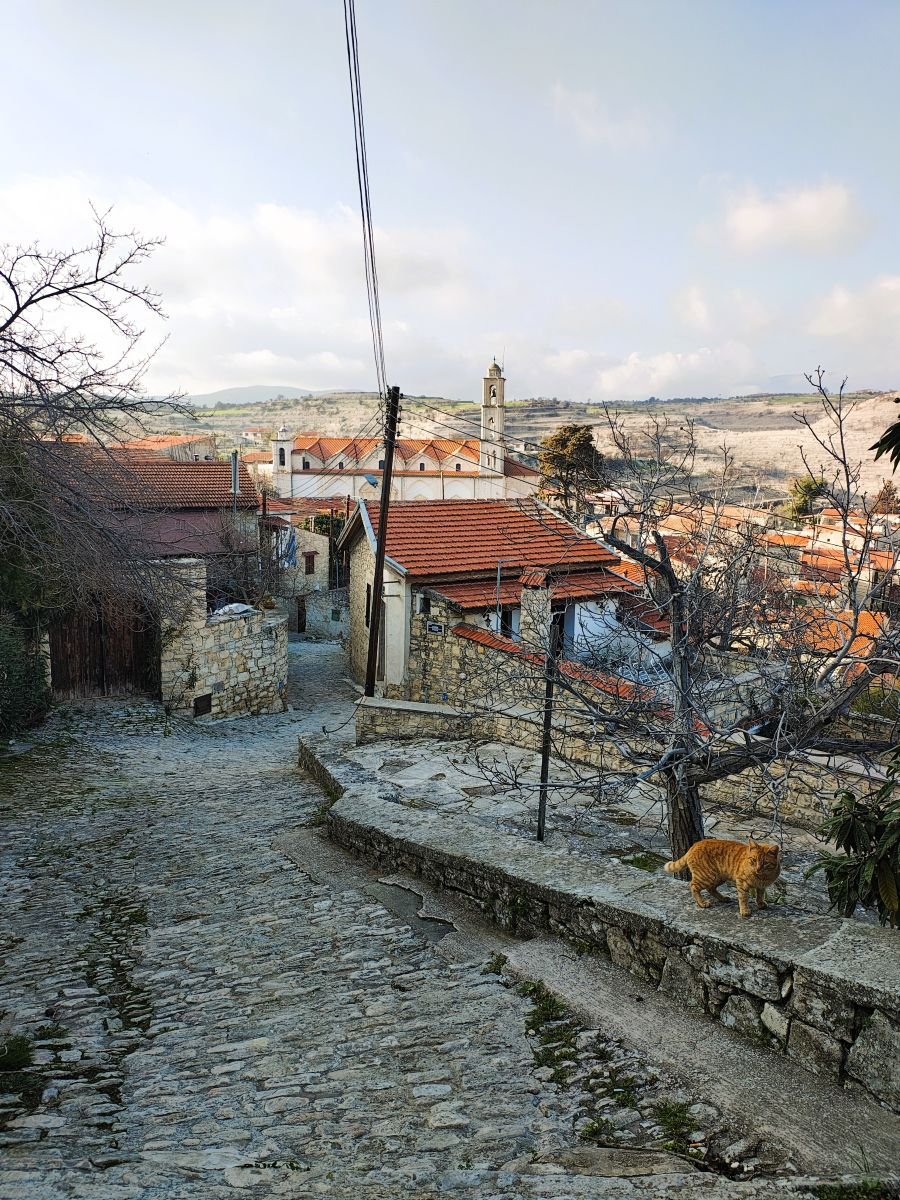 Калдъръмена улица към камбанарията в Лофу и рижа котка на стената